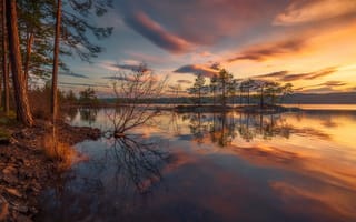 Картинка лес, закат, озеро, Норвегия, Ole Henrik Skjelstad, небо, Ringerike, Norway