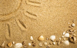 Картинка sand, beach, песок ракушки, texture, marine, seashells
