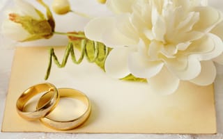 Картинка wedding, soft, lace, ring, кольца, цветы, flowers, свадьба