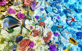 Обои underwater, подводный мир, world, coral, tropical, fishes, рыбки, океан, reef, коралловый риф, ocean
