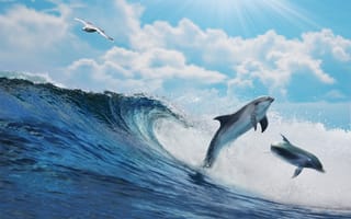 Картинка ocean, океан, sea, вода, sky, splash, волна, dolphins, море, blue, wave