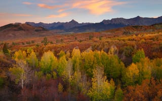 Картинка осень, лес, желтый, облака, деревья, природа, горы, небо