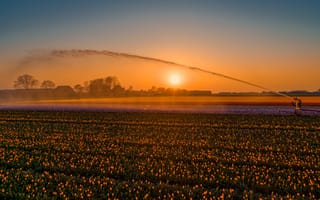 Картинка поле, небо, солнце, деревья, свет, лучи, вода, пейзаж