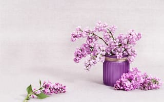 Картинка ваза, сирень