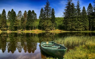 Картинка лес, лето, река, деревья, отражение, лодка