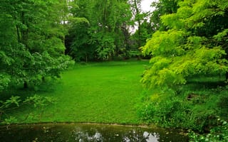 Картинка Albert-Kahn Japanese gardens, трава, зелень, Франция, парк, лужайка, пруд, деревья