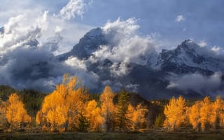 Картинка Grand Teton National Park, облака, деревья, Wyoming, Вайоминг, горы, осень, Гранд-Титон, Скалистые горы, Rocky Mountains