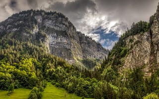 Картинка лес, Швейцария, ущелье, облака, Альпы, деревья, скалы, горы