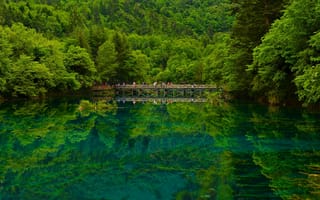 Картинка Jiuzhaigou, лес, отражение, озеро, Sichuan, заповедник, мост, Цзючжайгоу, China, Китай, Сычуань