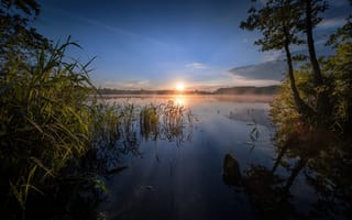 Картинка деревья, утро, озеро, восход, камыш, рассвет, Шатурское озеро, Россия