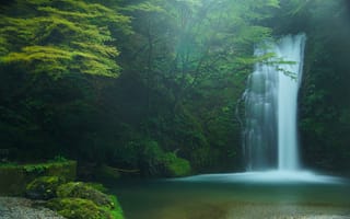 Картинка Shiraito Falls, Fujinomiya, лес, водопад, водопад Шираито, деревья, Фудзиномия, Япония, Japan