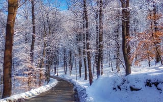 Картинка nature, winter, wallpaer