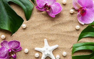 Картинка песок, орхидея, цветы, листья, spa, perls, orchid, white, sand, zen, starfish, жемчужины, flowers, pink
