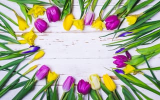 Картинка цветы, тюльпаны, frame, flowers, purple, yellow, tulips