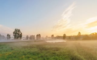 Картинка зелень, поле, лето, небо, лес, трава, облака, свет