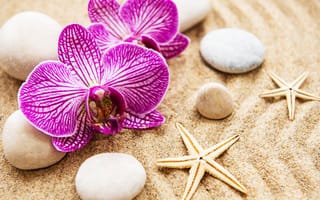 Картинка песок, pebbles, цветы, zen, stones, pink, орхидея, orchid, камни, flowers, sand, spa
