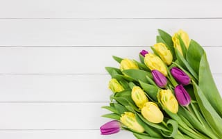 Картинка цветы, букет, tulips, тюльпаны, yellow, purple