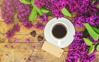 Картинка цветы, flowers, romantic, lilac, coffee cup, сирень, чашка кофе