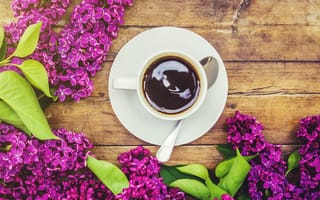 Картинка цветы, flowers, lilac, чашка кофе, romantic, coffee cup, сирень