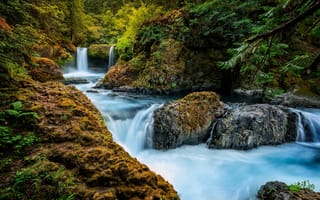 Обои Spirit Falls, водопад, Little White Salmon River, лес, река, Washington