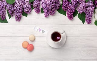 Картинка цветы, flowers, macaron, lilac, сирень, coffee cup, romantic, macaroons