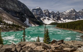 Картинка лед, зима, снег, лес, зеленый, небо, вода, горы