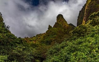 Картинка зелень, лето, заросли, горы, холмы, деревья, облака, небо