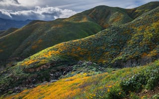 Картинка зелень, лето, растительность, холмы, камни, горы, цветы, облака