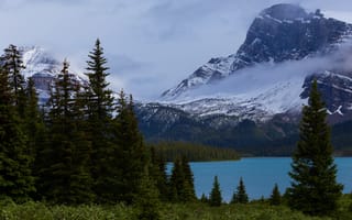 Картинка лес, снег, горы, пейзаж, берег, природа, вершины, деревья