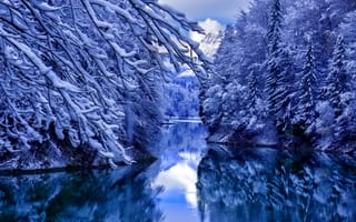 Картинка Зима, вода, снег, деревья, отражения