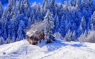 Картинка Зима, тропинка, снег, деревья, домик