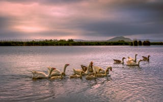 Картинка небо, вода, пруд, холмы, горы, тучи, облака, река