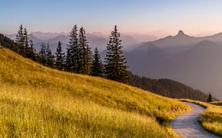 Картинка Бавария, горы, Германия, луг, трава, Альпы, деревья, дорога