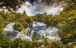 Картинка Шотландия, осень, каскад, Clyde Valley Woodlands, течение, деревья, лес, ветки, листья, водопад, камни, речка