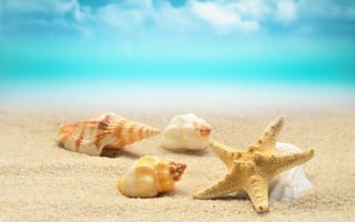 Картинка summer, sand, берег, starfish, пляж, волны, seashells, sea, ракушки, blue, песок, beach, море