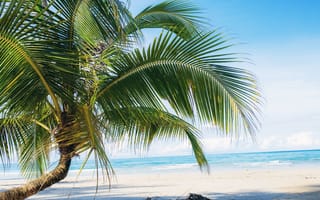 Картинка песок, sand, пляж, palms, paradise, summer, пальмы, beach, sea, лето, море, tropical