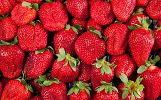 Картинка red, текстура, strawberry, клубника, berries, fresh, ягода