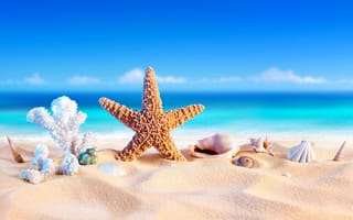 Картинка песок, ракушки, starfish, лето, отпуск, sand, seashells, beach, звезда, vacation, пляж, море, summer