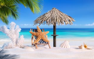 Картинка песок, palms, seashells, ракушки, tropical, starfish, vacation, звезда, sand, море, лето, отпуск, пляж, beach, summer