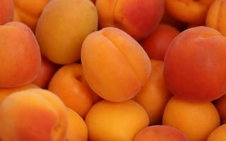 Картинка крупный план, еда, много, спелая, фрукты, абрикосы