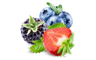 Картинка ягоды, черника, клубника, ежевика, витамины