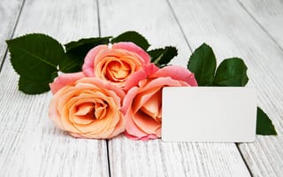 Картинка цветы, розы, букет, pink, roses, розовые, wood