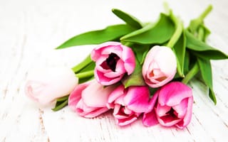 Картинка цветы, букет, wood, tulips, flowers, pink, розовые, тюльпаны