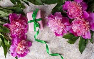Обои цветы, peonies, pink, flowers, пионы, gift box, розовые, подарок