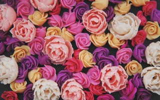 Картинка цветы, roses, flowers, colorful, pink, розы