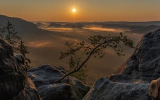 Картинка лес, небо, солнце, лучи, деревья, свет, горы, ветки