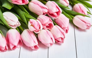 Картинка тюльпаны, розовые, flowers, tulips