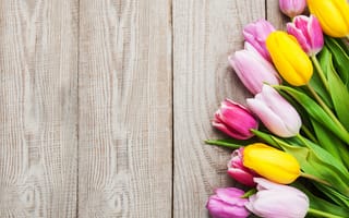 Картинка colorful, тюльпаны, flowers, розовые, yellow, pink, tulips, wood