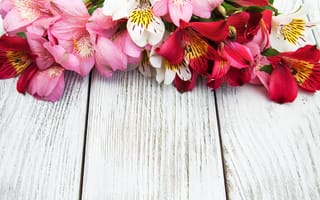 Картинка цветы, лилии, pink, lily, wood, розовые, flowers