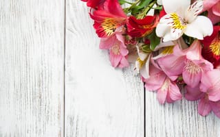 Картинка цветы, лилии, wood, розовые, pink, букет, flowers, lily